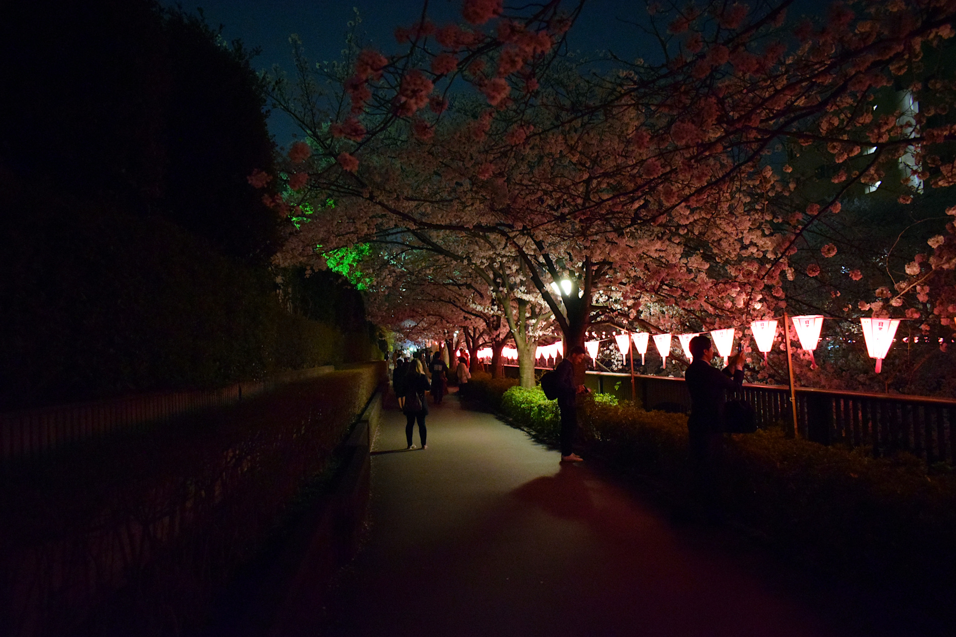 Naka Meguro by night